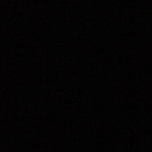 Meet your Posher, Teddy